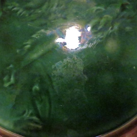 Etruscan Majolica Dog Plate Antique Griffin Smith Hill GSH 9.125 Inch USA - Picture 6 of 7